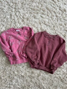 Zara Girls Sweatshirt Duo